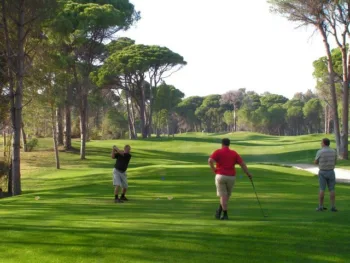 Behind Strip Club Bachelor Parties - golf