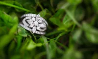 Wedding Rings with Personality - HJ 302