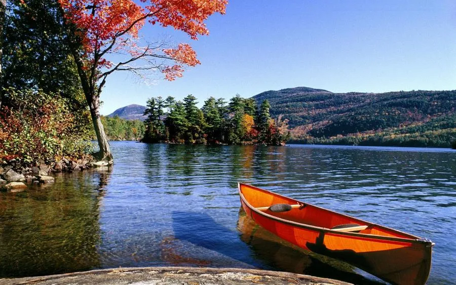 fern lodge, upstate ny resort