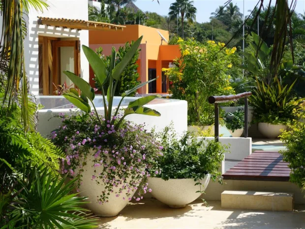 My Panchakarma Experience in Mexico ayurveda health retreat & spa