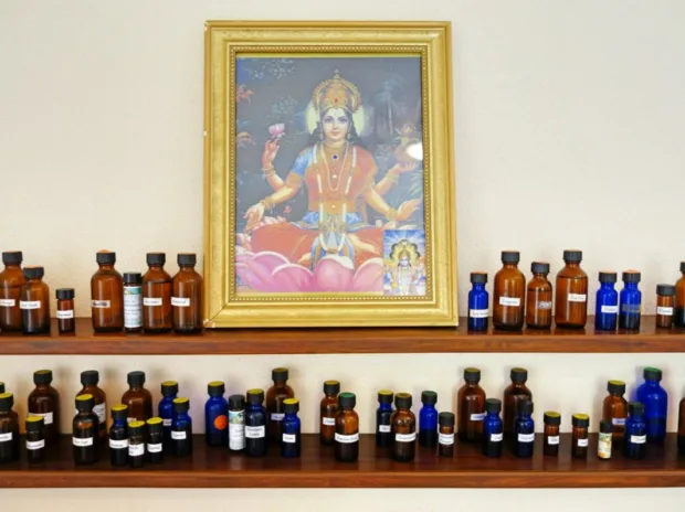 My Panchakarma Experience in Mexico ayurveda health retreat & spa