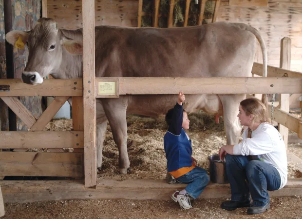 Deciphering the Ethical Meat and Sustainability Trend shelburne-farms-inn2