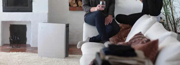 The Sexy Six; Keeping Your Home's Air Clean Blue Air