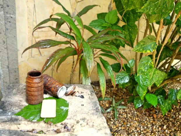 The yummy-scented shampoo and conditioner in our outdoor shower