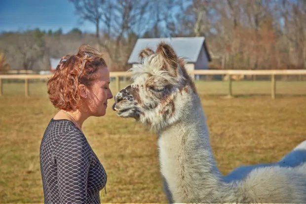 Fighting the Good Fight in Woodstock Jenny with Dolly, the alpaca
