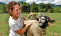 Fighting the Good Fight in Woodstock - woodstockfarmanimalsanctuary 1