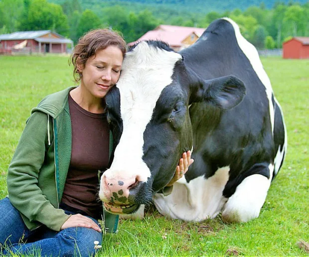 Fighting the Good Fight in Woodstock woodstockfarmanimalsanctuary-725x603