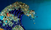 How to Love the Ocean - Featured Image 11114