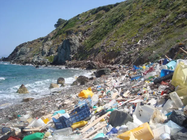 The Ocean is Sick - How You Can Help
