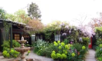 Mill Valley: A Charming Retreat - 3275192049 cebceded52 o