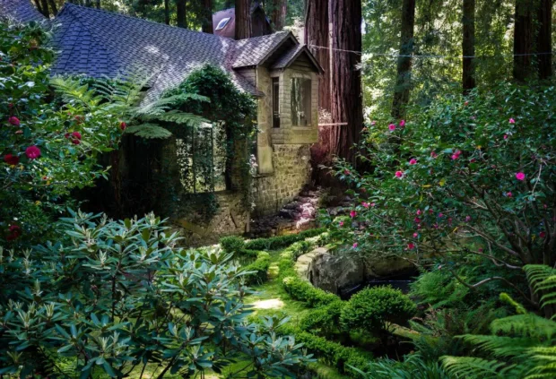 Mill Valley: A Charming Retreat mill-valley (Medium)