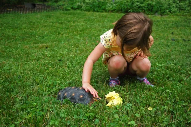 Chemical Detox Tips: 10 Toxic Products in Your Home Choose not to poison yourself, your children and pets, and the little animals that live in your yard