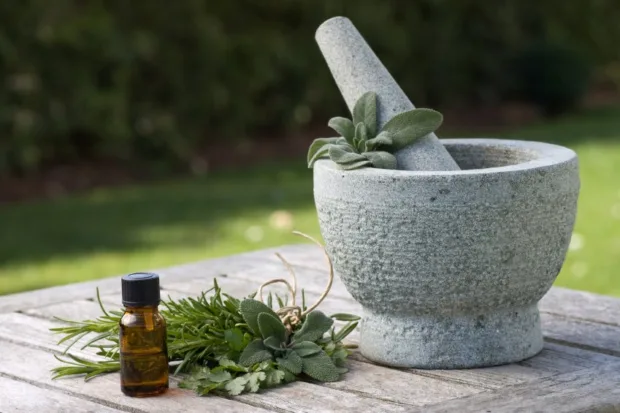 Why the Modern Medical System Sucks best-naturopatic-doctors-nyc
