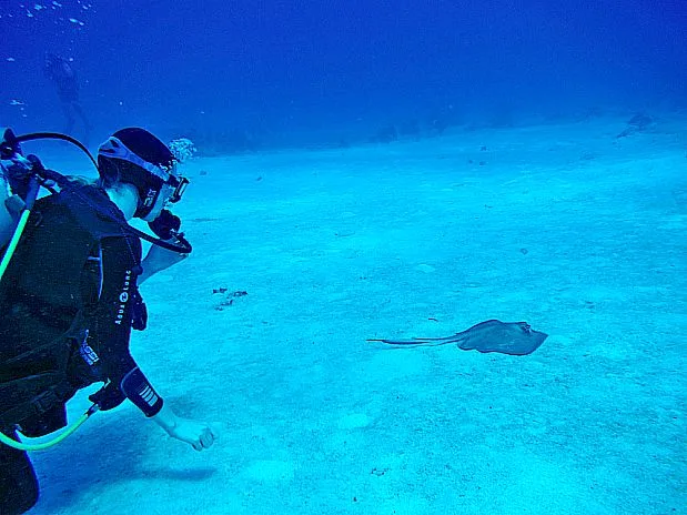 Turks & Caicos: Paradise is Close Me, checking out a stingray