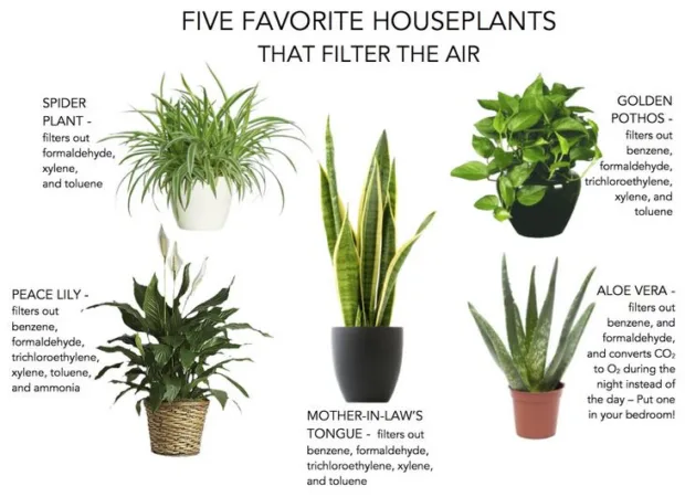 The Sexy Six; Keeping Your Home's Air Clean home-air-cleaners-filters