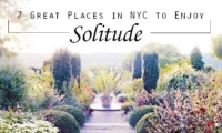 7 Great Places in NYC to Enjoy Solitude - thumbnail