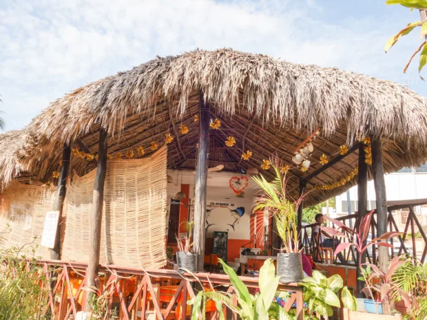 7 Reasons to Visit Puerto Escondido Puerto Escondido