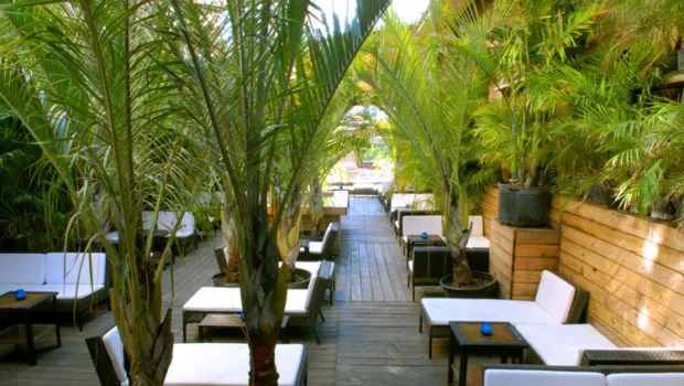 The 10 Best Rooftop Bars in NYC delancey-rooftop-bar
