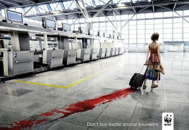 10 Ways to Weave Impact Into Your Vacation Eco conscious ethical tourism tips