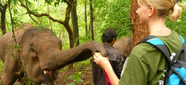 10 Ways to Weave Impact Into Your Vacation Eco conscious ethical tourism tips