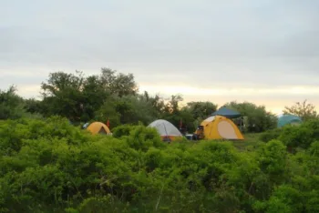 discoveries-camping