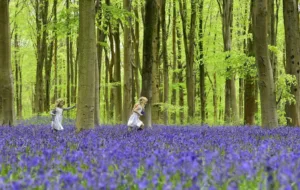 How Green Spaces Affect The Brain + other Weekly Discoveries lead_960