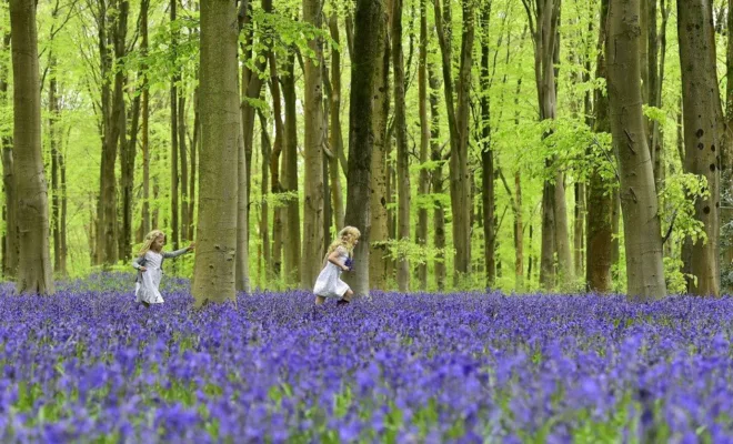 How Green Spaces Affect The Brain + other Weekly Discoveries