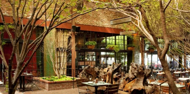 The 6 Best Brunch Spots in NYC the park