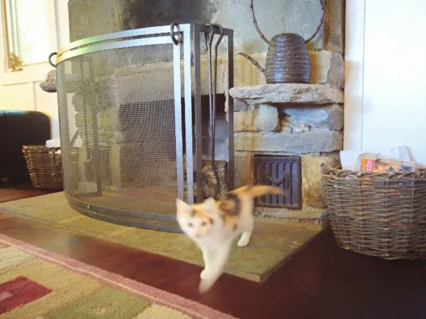 6 Reasons to Visit Buttermilk Falls The fireplace in the North Cottage, a pet-friendly cottage