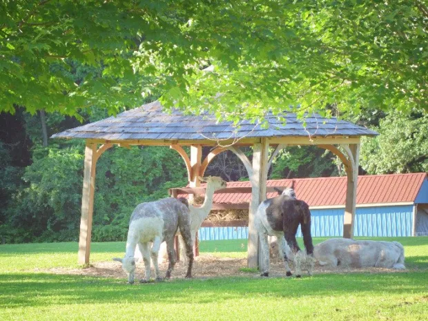 6 Reasons to Visit Buttermilk Falls Part of the sanctuary