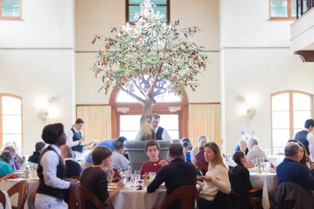 6 Reasons to Visit Buttermilk Falls Ristorante Caterina deβ Medici
