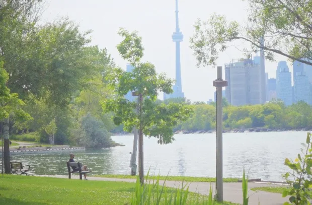 A gorgeous view of Toronto's skyline can be seen from the Beaches area 