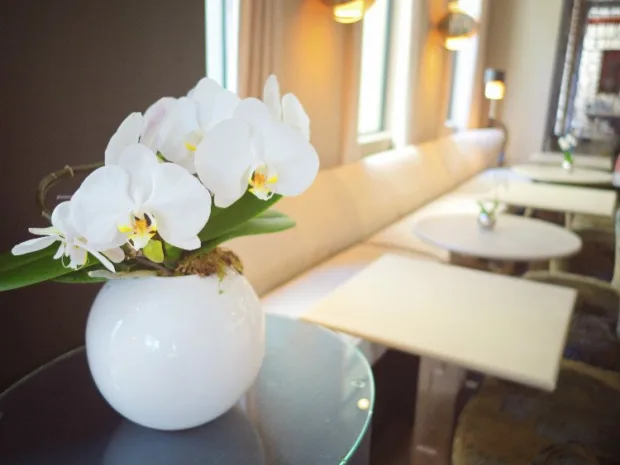 Doing the 8th in Paris Like a (Glam) Parisian Hotel Pavillon de Lettres in Paris