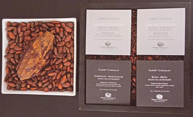 A Foodie's Tour of Belgium pierre-marcolini-cocoa-sm