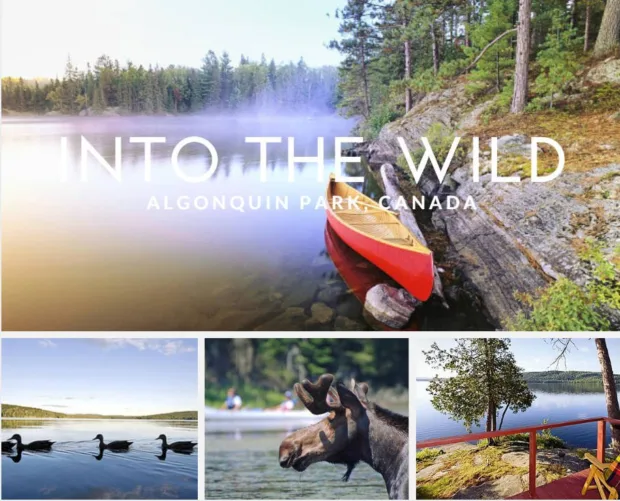Into the Wild: Escape to the Algonquin algonquin-canada