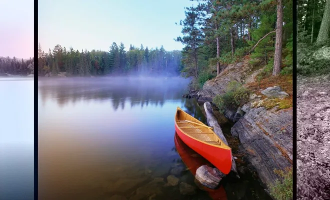 Into the Wild: Escape to the Algonquin