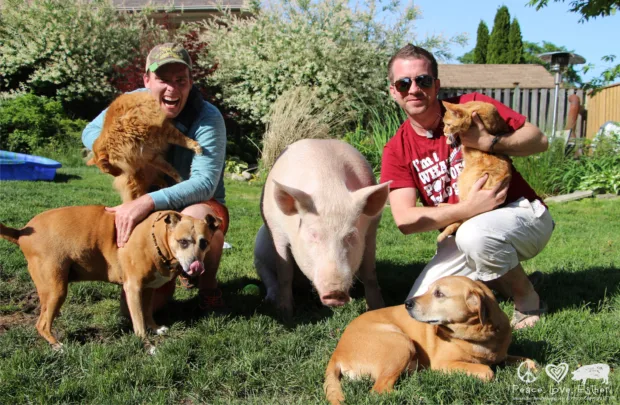 How One Pig Convinced Thousands to go Vegan Steve and Derek Jenkins, and Family, at the Happily Ever After Sanctuary