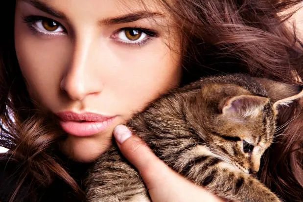 5 Reasons Why I Love Living Alone With my new kitten