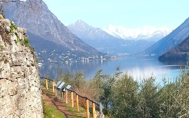 The views from this trail are incredible