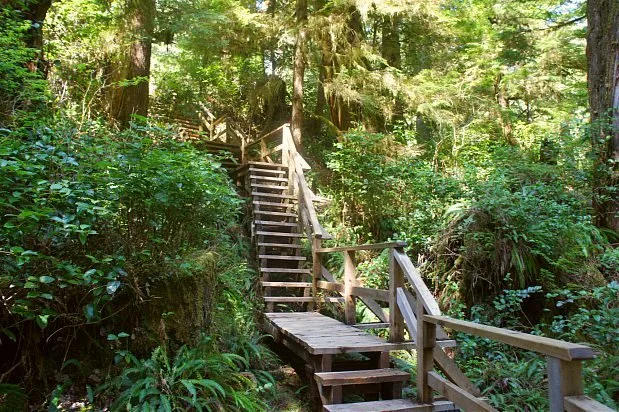 4 Hot Spring Destinations for Your Next Road Trip hot-springs-luxury