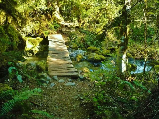 4 Hot Spring Destinations for Your Next Road Trip road-trips-usa