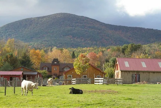 Fighting the Good Fight in Woodstock The Woodstock Farm Animal Sanctuary