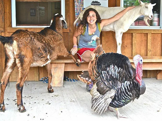 Fighting the Good Fight in Woodstock woodstock-farm-animal-sanctuary2