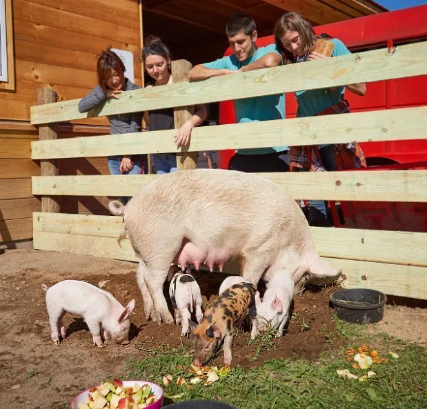 Fighting the Good Fight in Woodstock woodstockfarmsanctuary3