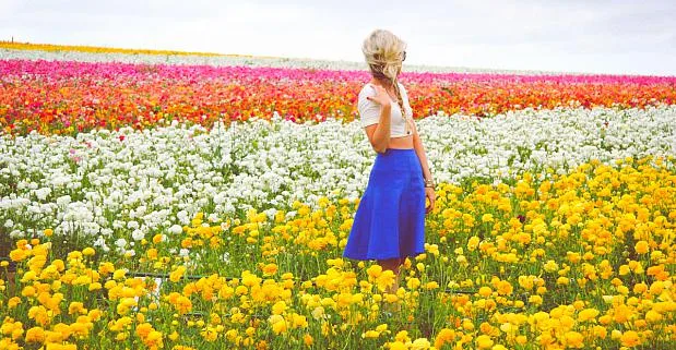 5 Reasons I Love Carlsbad It's a great place to take photos