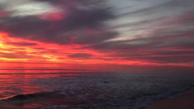 5 Reasons I Love Carlsbad Sunset at Tamarack Beach