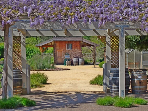 A Foodie Tour of Healdsburg, CA IF