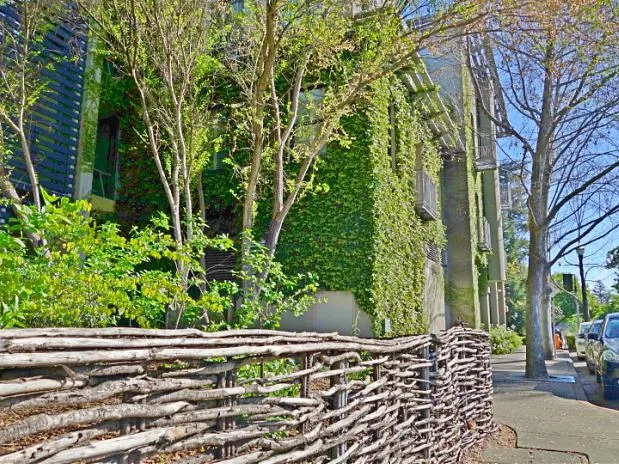 A Foodie Tour of Healdsburg, CA Eco-friendly, from top to bottom...
