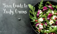 Your Guide to Leafy Greens - best healthiest leafy green