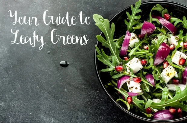 Your Guide to Leafy Greens best-healthiest-leafy-green
